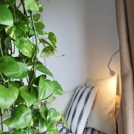 Atlantic Retreat San Marcos (Tenerife)