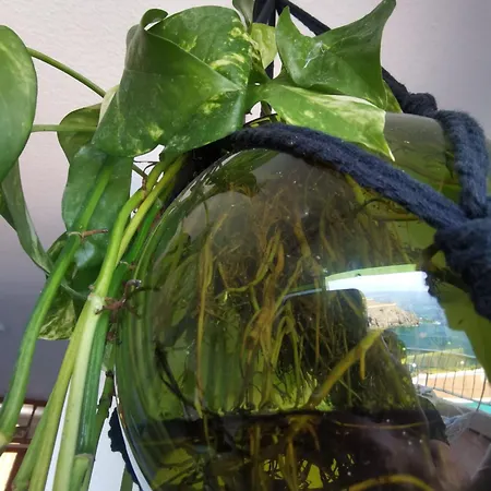 Apartament Atlantic Retreat *