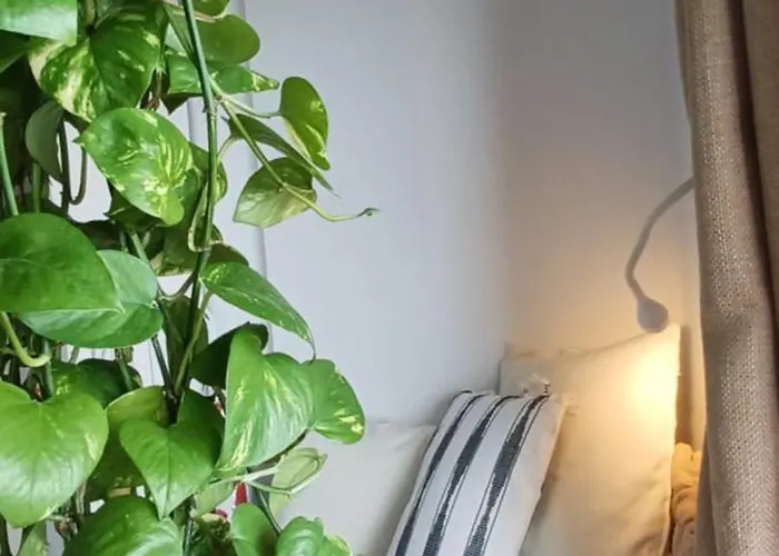 Atlantic Retreat San Marcos (Tenerife)