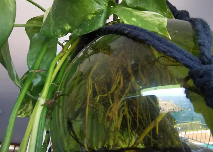 Apartamento Atlantic Retreat *